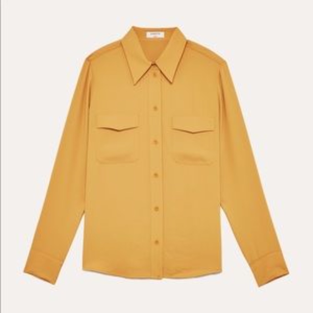 NWT Aritzia Babaton Harrison Button-down Shirt